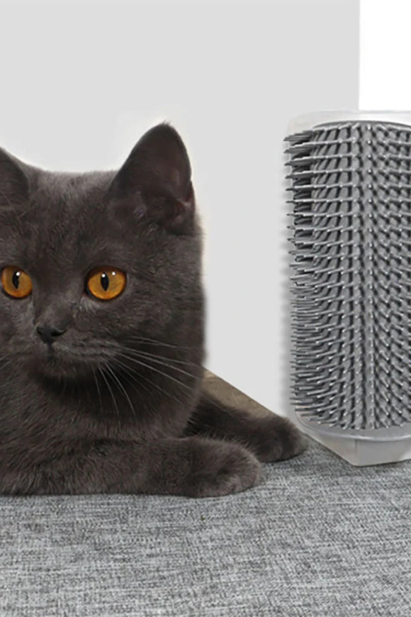 Massager for Cats Pet Products Pets Goods Brush Remove Hair Comb Grooming Table Dogs Care Royal Canin Accessories Things Strip