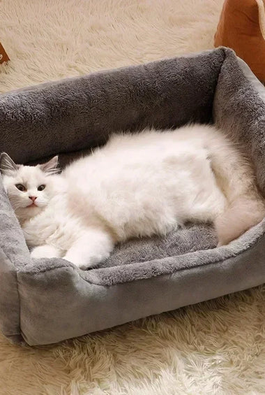 Cats Bed Dog Mat Beds Goods Pet Puppy Accessories All Products Kitten Cushions Things Accessory Houses Habitats House Supplies