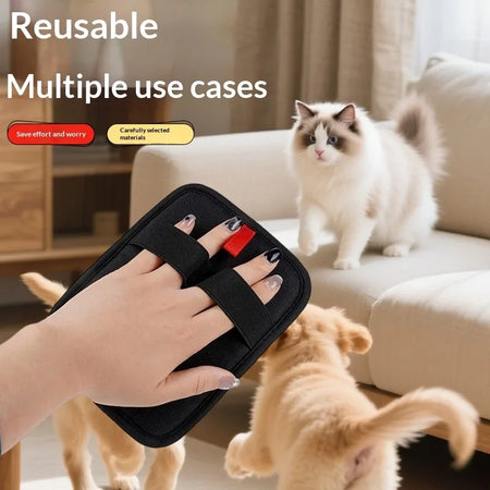 Pet Supplies