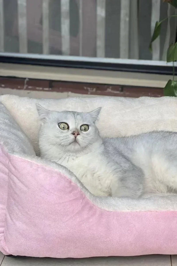 Cats Bed Dog Mat Beds Goods Pet Puppy Accessories All Products Kitten Cushions Things Accessory Houses Habitats House Supplies